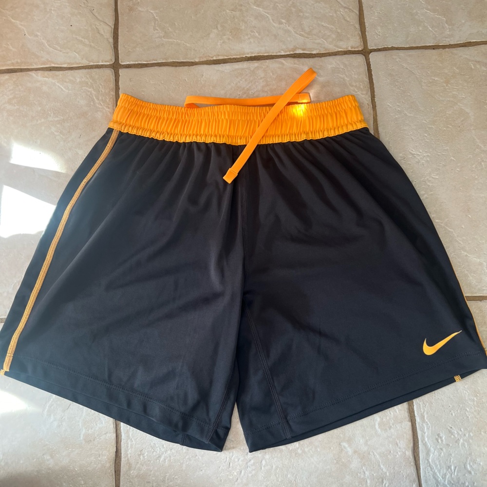 Women’s Nike dri-fit shorts